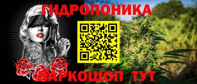 амф Заволжье