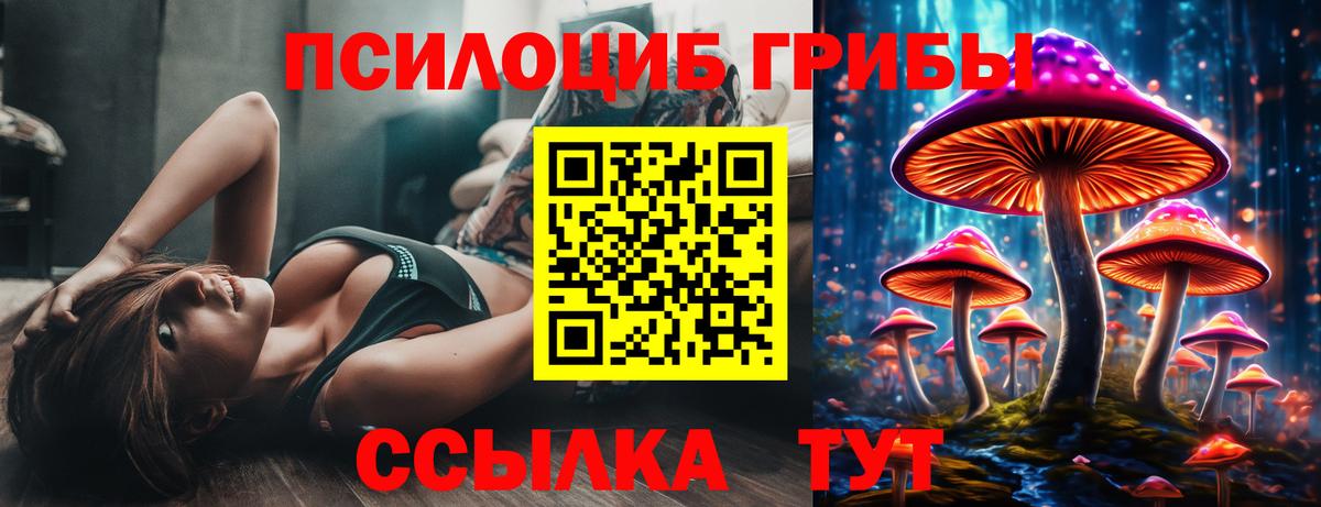 Будённовск  Псилоцибиновые грибы мухоморы  Вход с VPN 